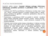 Socialinės globos norma. Socialinės globos normų aprašų pagrindiniai akcentai 15 puslapis