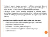 Socialinės globos norma. Socialinės globos normų aprašų pagrindiniai akcentai 3 puslapis
