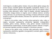 Socialinės globos norma. Socialinės globos normų aprašų pagrindiniai akcentai 4 puslapis