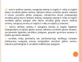 Socialinės globos norma. Socialinės globos normų aprašų pagrindiniai akcentai 5 puslapis