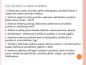 Socialinės globos norma. Socialinės globos normų aprašų pagrindiniai akcentai 7 puslapis