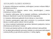 Socialinės globos norma. Socialinės globos normų aprašų pagrindiniai akcentai 8 puslapis