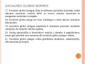 Socialinės globos norma. Socialinės globos normų aprašų pagrindiniai akcentai 9 puslapis