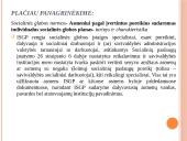 Socialinės globos norma. Socialinės globos normų aprašų pagrindiniai akcentai 10 puslapis