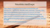 Pedagogas ir jo vaidmuo muzikos ugdymo procese 19 puslapis