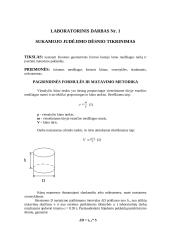 Žinomos geometrinės formos kūno tankio nustatymas 1 puslapis