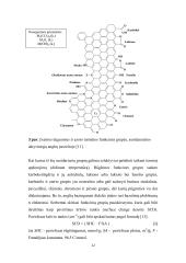 Chromo kompleksinio dažiklio ir vario(II) jonų adsorbcija aktyvintosiomis anglimis 11 puslapis