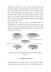 Chromo kompleksinio dažiklio ir vario(II) jonų adsorbcija aktyvintosiomis anglimis 14 puslapis