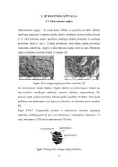 Chromo kompleksinio dažiklio ir vario(II) jonų adsorbcija aktyvintosiomis anglimis 8 puslapis