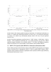 Užsienio investicijų svarba ir poveikis ekonomikai 15 puslapis