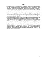 Užsienio investicijų svarba ir poveikis ekonomikai 18 puslapis