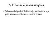 Įvadas į Fibonačį 5 puslapis