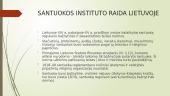 Santuokos instituto raida Lietuvos teisėje 3 puslapis