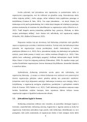 Darbuotojų įsitraukimo į darbą didinimas 7 puslapis