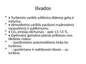 Optimalaus gamybos sudarymas ir jo analizė 11 puslapis