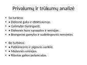 Optimalaus gamybos sudarymas ir jo analizė 9 puslapis