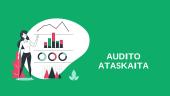 Audito ataskaitos samprata ir reglamentavimas