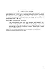 Šachtinio PVP hidrauliniai skaičiavimai 4 puslapis