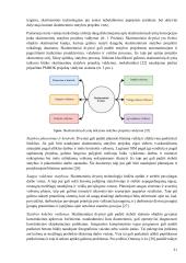 Skaitmeninio statybos projektų valdymo palyginamoji analizė  17 puslapis