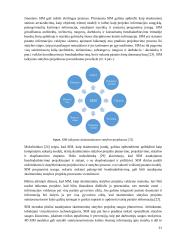 Skaitmeninio statybos projektų valdymo palyginamoji analizė  19 puslapis