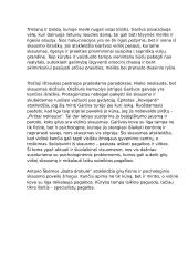 Antano Škėmos ,,Balta drobulė" romano ištraukos interpretacija  2 puslapis