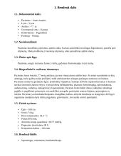 Bendruomenės slaugos profesinės veiklos praktika 2 puslapis