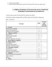 Bendruomenės slaugos profesinės veiklos praktika 3 puslapis