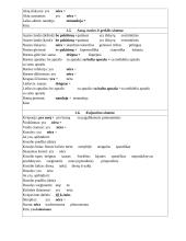 Bendruomenės slaugos profesinės veiklos praktika 8 puslapis