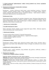 Pasiruošimas bendruomenės slaugos atsiskaitymui 2 puslapis