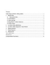 Vaikų slaugos profesinės veiklos praktika