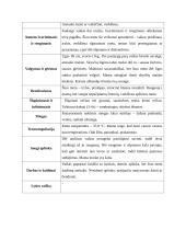 Vaikų slaugos profesinės veiklos praktika 4 puslapis