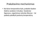 Homeostazė ir termoreguliacija. Skaidrės 11 puslapis