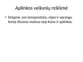 Homeostazė ir termoreguliacija. Skaidrės 16 puslapis