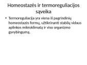 Homeostazė ir termoreguliacija. Skaidrės 18 puslapis