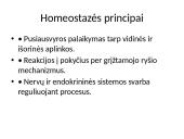 Homeostazė ir termoreguliacija. Skaidrės 3 puslapis