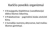 Homeostazė ir termoreguliacija. Skaidrės 10 puslapis