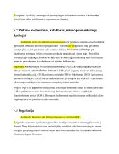 Karbamido ciklas 10 puslapis