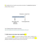 Karbamido ciklas 11 puslapis