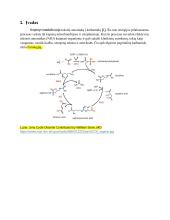 Karbamido ciklas 2 puslapis