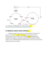 Karbamido ciklas 8 puslapis
