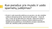 Drugelių gyvenimo fizika. Skaidrės 9 puslapis