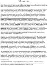 Lietuvių 11 kl. kalbos pavyzdys