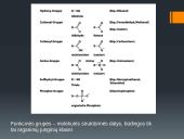 Funkcinės grupės 2 puslapis