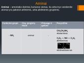 Funkcinės grupės 18 puslapis