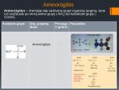 Funkcinės grupės 19 puslapis