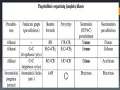 Funkcinės grupės 4 puslapis