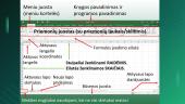 Excel skaičiuoklės darbo pradžia, įvadinė pamoka 4 puslapis