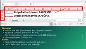 Excel skaičiuoklės darbo pradžia, įvadinė pamoka 8 puslapis