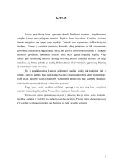 Vyriausybės vykdoma valstybinių institucijų kontrolė 2 puslapis