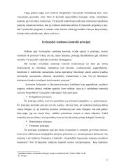 Vyriausybės vykdoma valstybinių institucijų kontrolė 11 puslapis